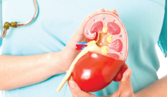 10 lifestyles, habits that can cause kidney damage kidney-failure